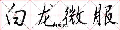 白龙微服怎么写好看