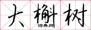 大槲树怎么写好看