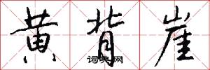 黄背崖怎么写好看