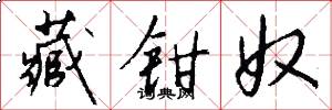 藏钳奴怎么写好看