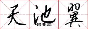 天池翼怎么写好看