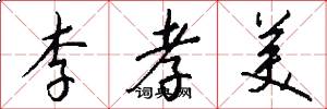 李孝美怎么写好看
