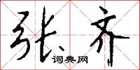 张齐怎么写好看