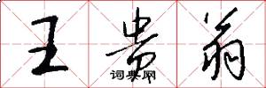 王贵翁怎么写好看