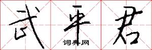 武平君怎么写好看
