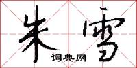 朱雪怎么写好看