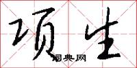 项生怎么写好看