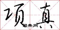 项真怎么写好看