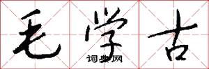 毛学古怎么写好看
