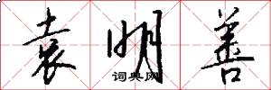 袁明善怎么写好看