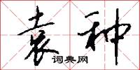 袁种怎么写好看