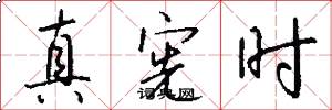 真宪时怎么写好看