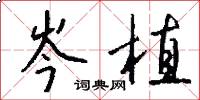 岑植怎么写好看