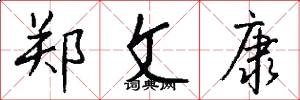 郑文康怎么写好看