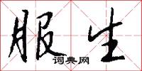 服生怎么写好看