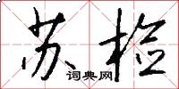 苏检怎么写好看