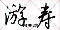 游寿怎么写好看