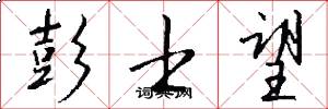 彭士望怎么写好看