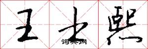 王士熙怎么写好看