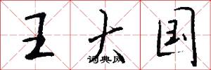 王大国怎么写好看