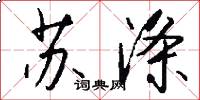 苏涤怎么写好看
