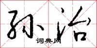 孙治怎么写好看