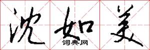 沈如美怎么写好看