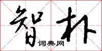 智朴怎么写好看