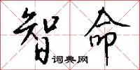 智命怎么写好看