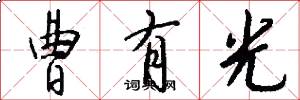 曹有光怎么写好看