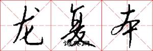 龙复本怎么写好看