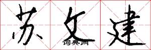 苏文建怎么写好看