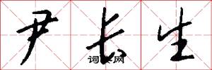 尹长生怎么写好看