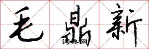 毛鼎新怎么写好看