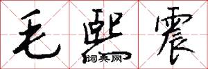 毛熙震怎么写好看