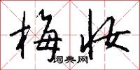 梅妆怎么写好看