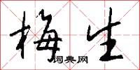 梅生怎么写好看