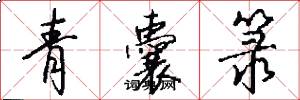 青囊箓怎么写好看