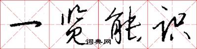 一览能识怎么写好看