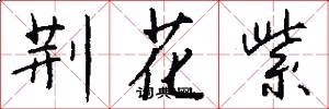 荆花紫怎么写好看
