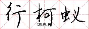 行柯蚁怎么写好看