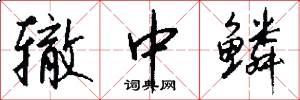 辙中鳞怎么写好看