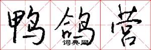 鸭鸽营怎么写好看