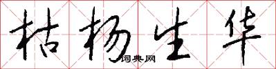 枯杨生华怎么写好看