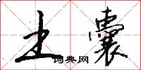 土囊怎么写好看