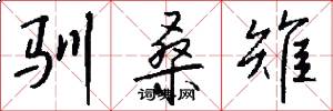 驯桑雉怎么写好看