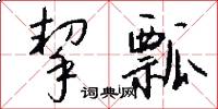 挈瓢怎么写好看