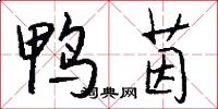 鸭茵怎么写好看
