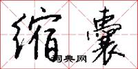 缩囊怎么写好看