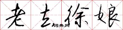 老去徐娘怎么写好看